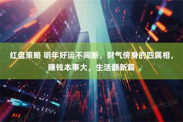 红盘策略 明年好运不间断，财气傍身的四属相，赚钱本事大，生活翻新篇